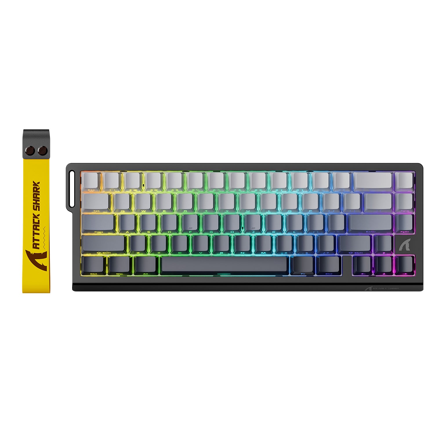 Prueba De Rat n Y Teclado Comprobaci n 3D Gratis En L nea prueba-de-rat-n-y-teclado-comprobaci-n-3d-gratis-en-l-nea