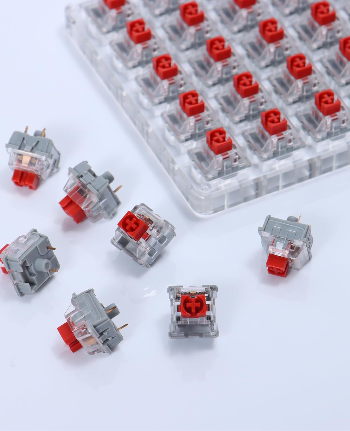 Berry Red AS001 mechanical switches with transparent housing and dust-proof tester.