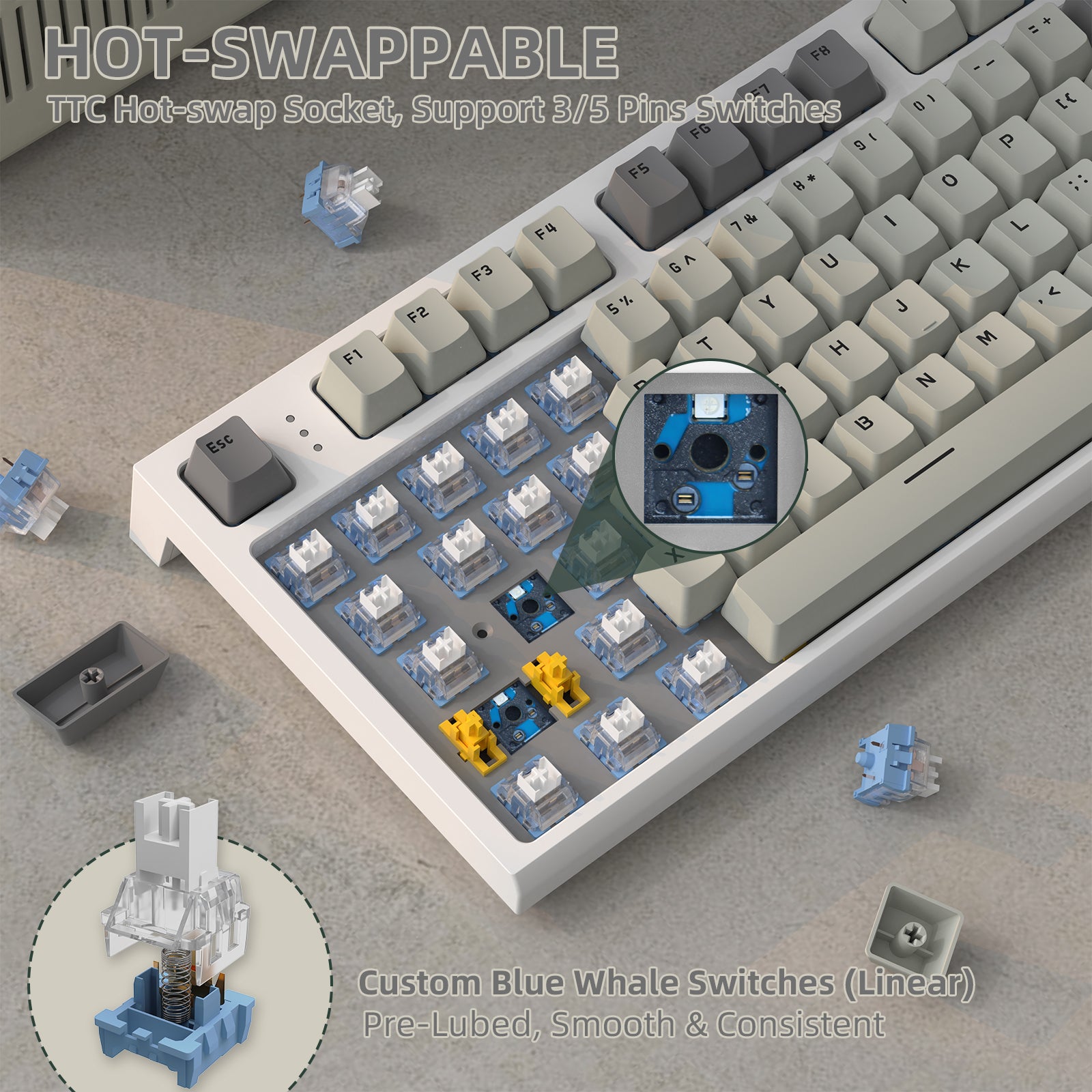 K86 keyboard highlighting TTC hot-swap socket and custom blue whale switches