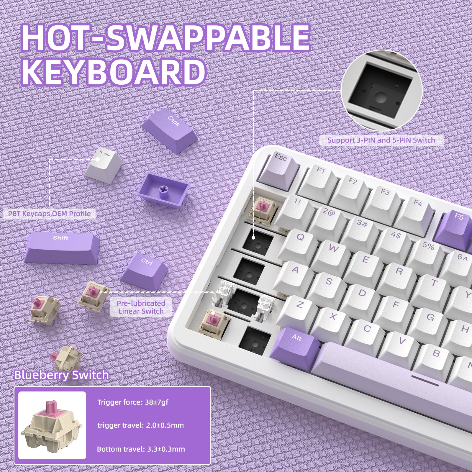 Hot-swappable keyboard with purple keycaps showcasing Blueberry switches.