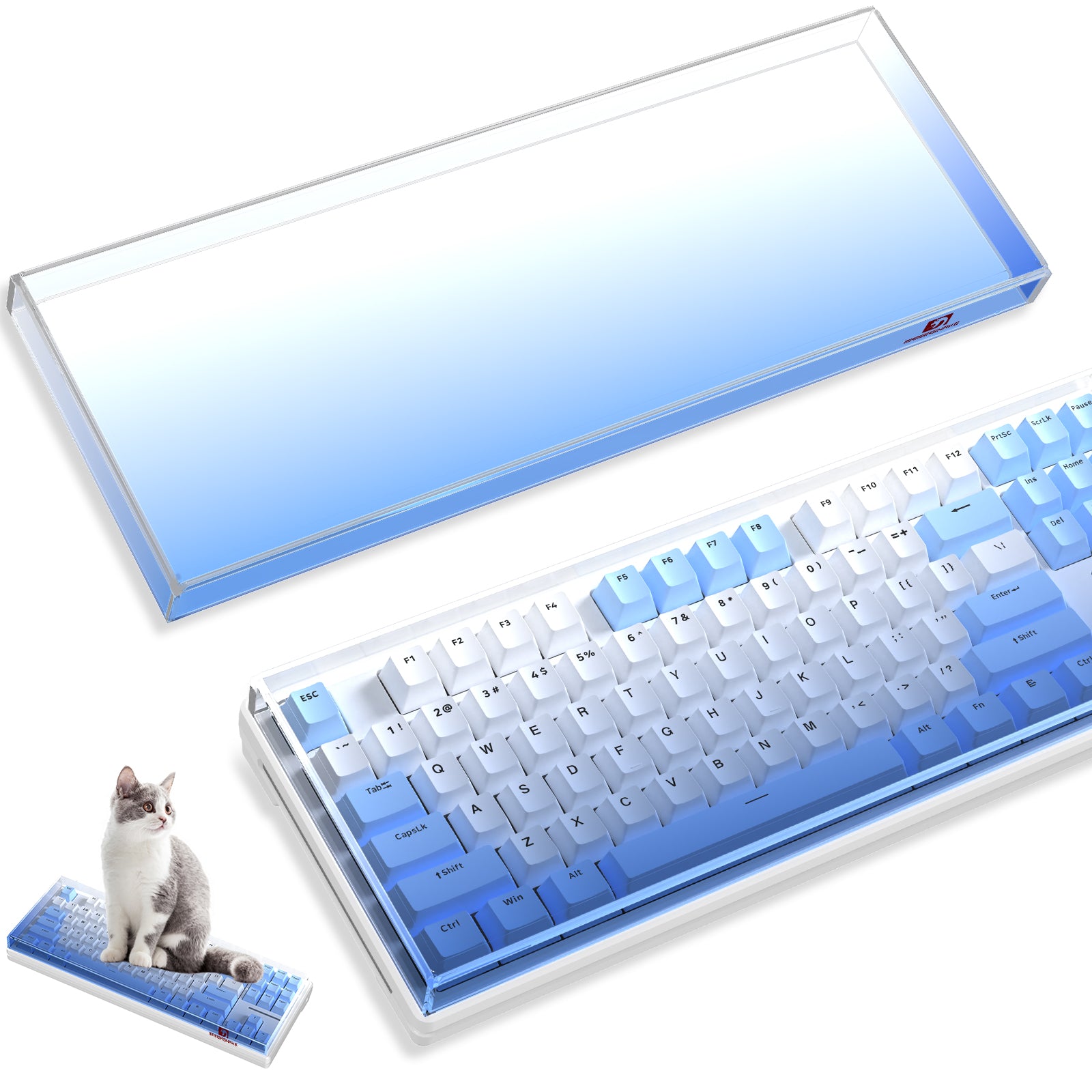 Gradient blue keyboard cover for 87-key gaming keyboard with cat